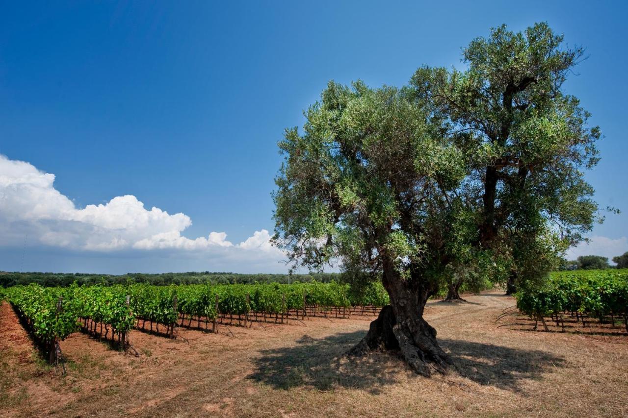 Masseria Le Fabriche Guest House Maruggio Exterior photo