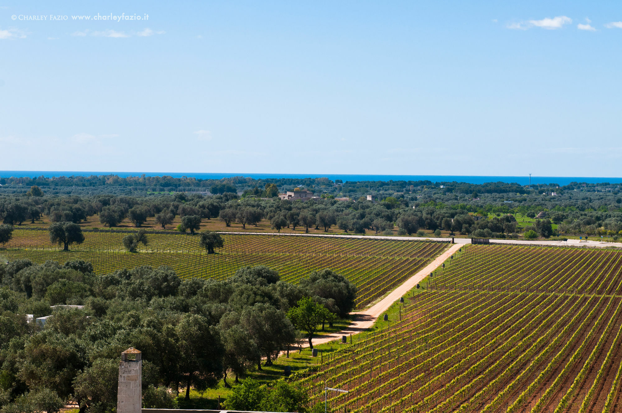 Masseria Le Fabriche Guest House Maruggio Exterior photo