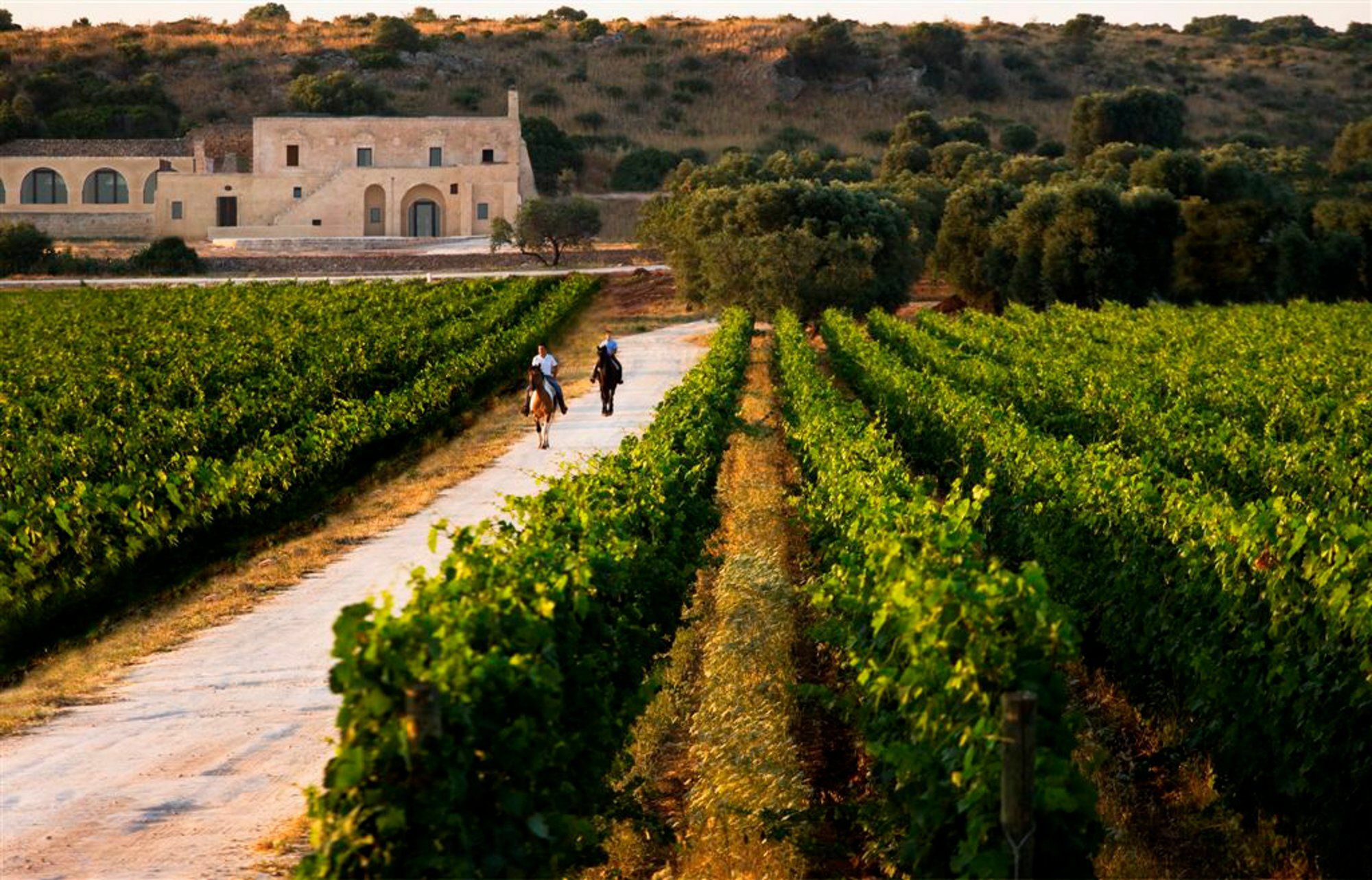 Masseria Le Fabriche Guest House Maruggio Exterior photo