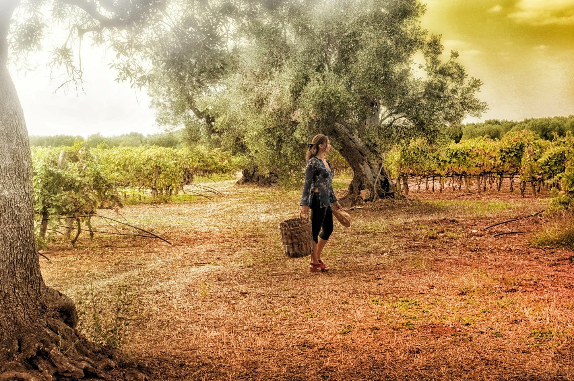 Masseria Le Fabriche Maruggio Exterior photo